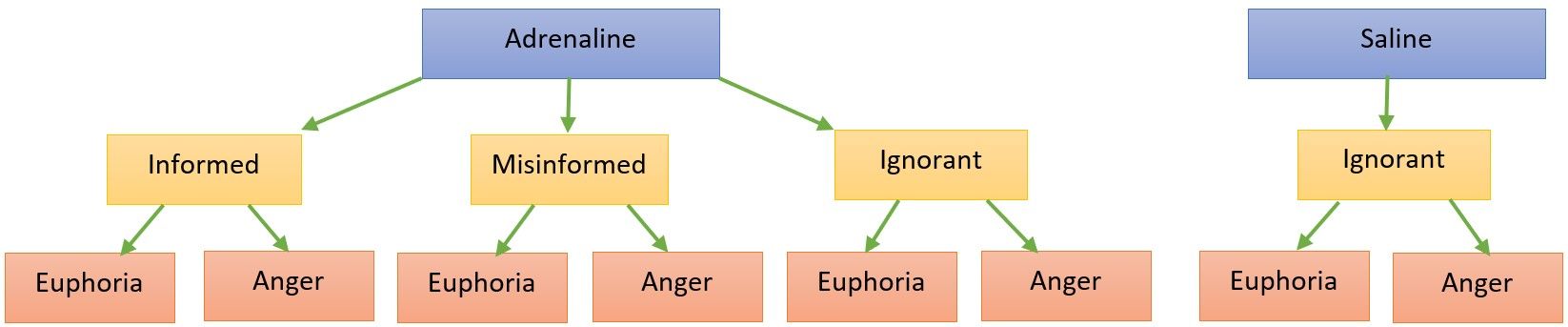 Schachter---Singer-conditions-2